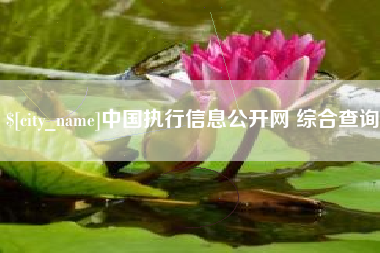大竹中国执行信息公开网 综合查询