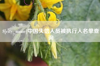 大竹中国失信人员被执行人名单查询