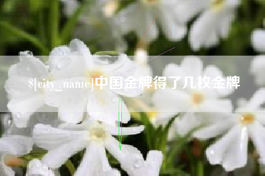 大竹中国金牌得了几枚金牌