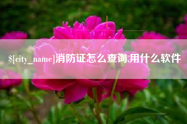 大竹消防证怎么查询,用什么软件