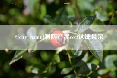 大竹消防产品cccf认证目录