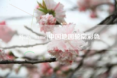 大竹中国地图轮廓彩色