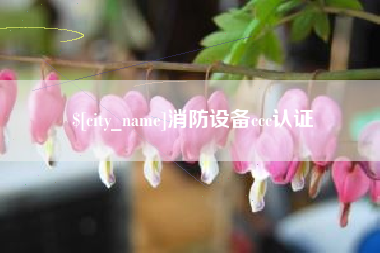 大竹消防设备ccc认证