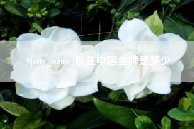 大竹现在中国金牌是多少