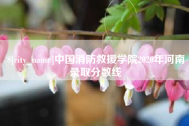 大竹中国消防救援学院2020年河南录取分数线