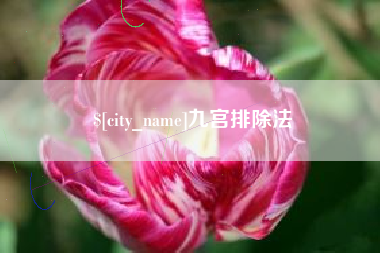 大竹九宫排除法