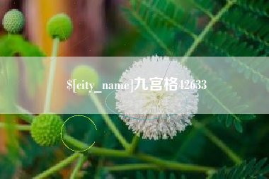 大竹九宫格42633