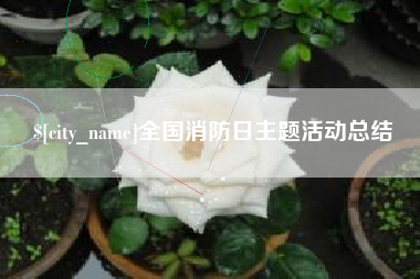 大竹全国消防日主题活动总结