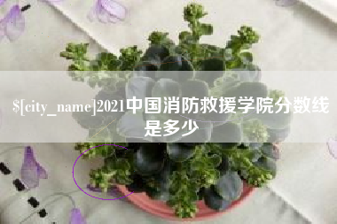 大竹2021中国消防救援学院分数线是多少