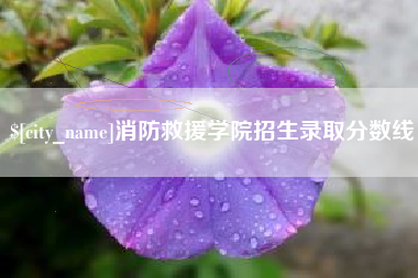 大竹消防救援学院招生录取分数线