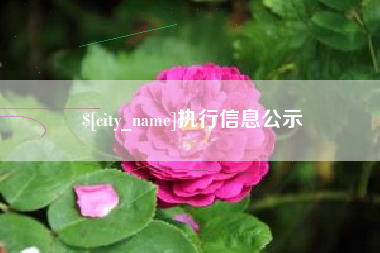 大竹执行信息公示
