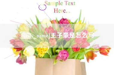 大竹王子豪是怎么写
