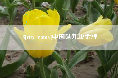 大竹中国队九块金牌