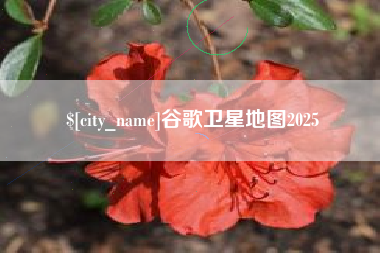 大竹谷歌卫星地图2025