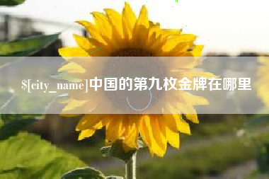 大竹中国的第九枚金牌在哪里