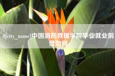 大竹中国消防救援学院毕业就业前景如何