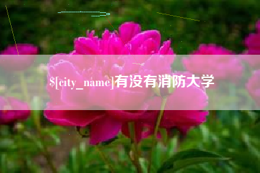 大竹有没有消防大学