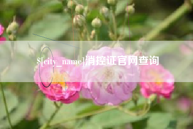 大竹消控证官网查询