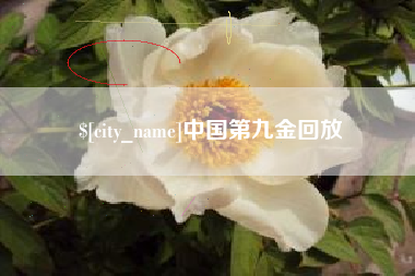大竹中国第九金回放
