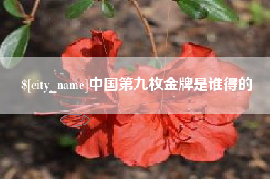 大竹中国第九枚金牌是谁得的