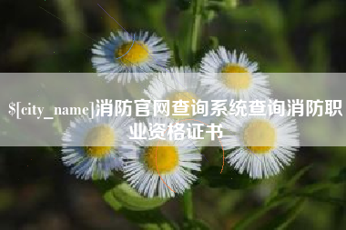 大竹消防官网查询系统查询消防职业资格证书