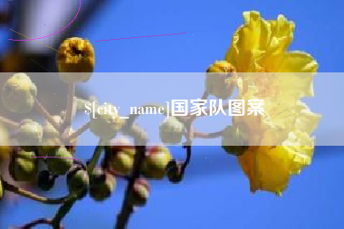 大竹国家队图案