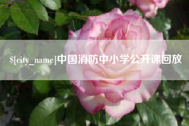 大竹中国消防中小学公开课回放