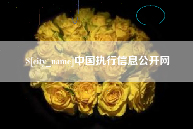 大竹中国执行信息公开网
