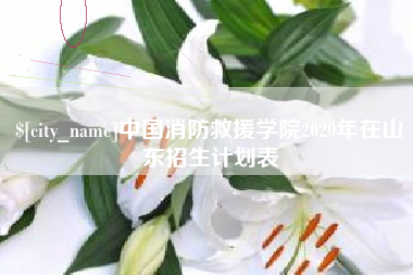 大竹中国消防救援学院2020年在山东招生计划表