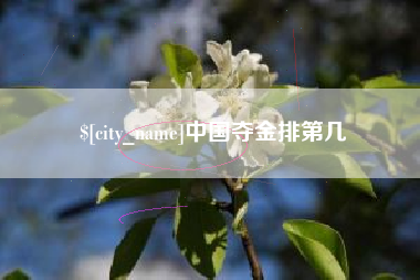 大竹中国夺金排第几