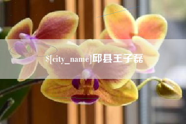 大竹邱县王子磊