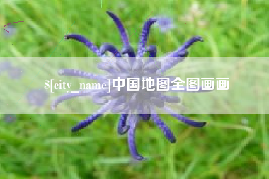 大竹中国地图全图画画