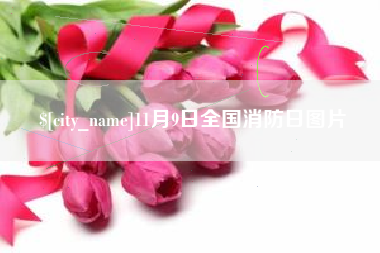 大竹11月9日全国消防日图片