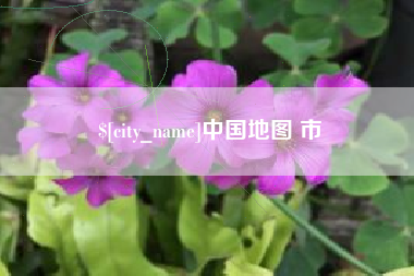 大竹中国地图 市