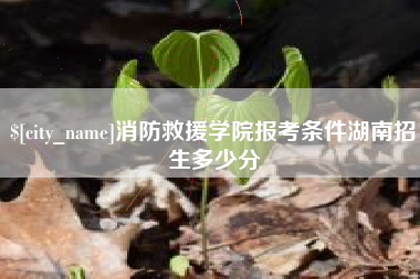 大竹消防救援学院报考条件湖南招生多少分