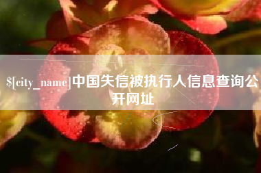 大竹中国失信被执行人信息查询公开网址