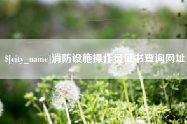大竹消防设施操作员证书查询网址