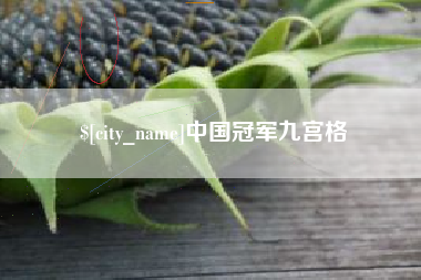 大竹中国冠军九宫格