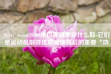 大竹5000米世界冠军穿什么鞋-它们是运动员取得优异成绩背后的重要“功臣”