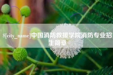 大竹中国消防救援学院消防专业招生简章
