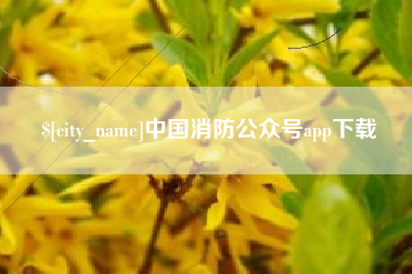 大竹中国消防公众号app下载