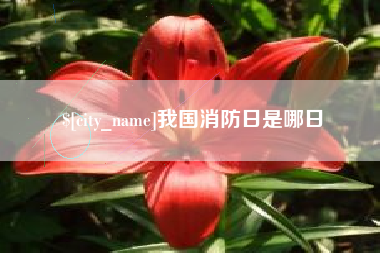 大竹我国消防日是哪日