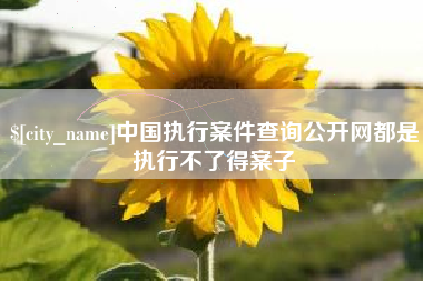 大竹中国执行案件查询公开网都是执行不了得案子