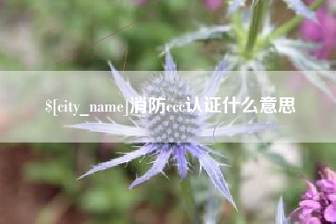 大竹消防ccc认证什么意思