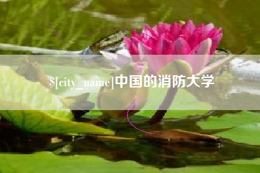 大竹中国的消防大学