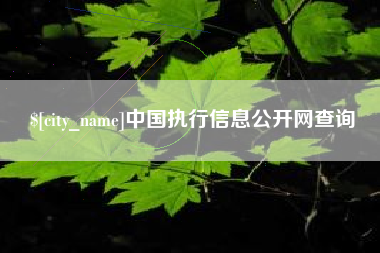 大竹中国执行信息公开网查询
