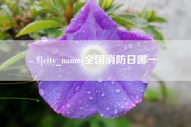大竹全国消防日哪一