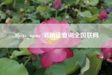 大竹消防证查询全国联网