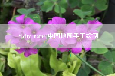 大竹中国地图手工绘制