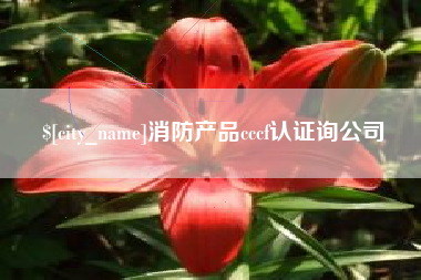 大竹消防产品cccf认证询公司